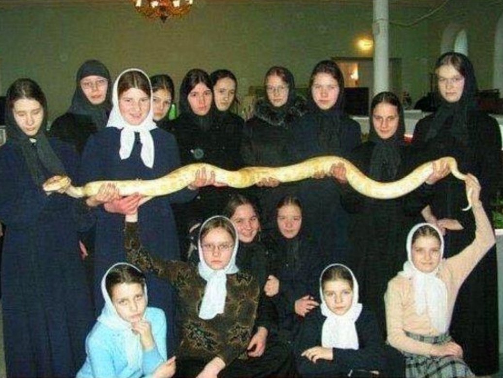 pelinin biri tweet media