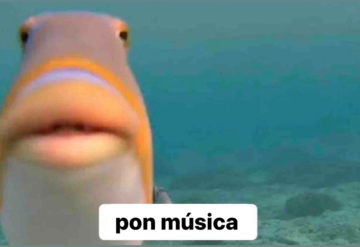 nadie:

yo nada más subir a un coche: