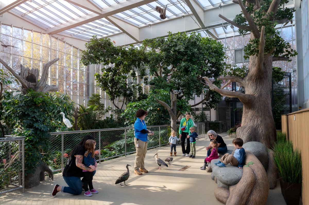 National_Aviary's tweet photo. As a proud @radworkshere asset and as a thank you to Allegheny County residents, the National Aviary is excited to welcome guests for our annual RAD Days, Sunday and Monday, October 1 and 2. Pease reserve free tickets in advance. #RADWorksHere #RADDays2023 https://t.co/6Vv4V5GuCS https://t.co/xPz5av9dXK