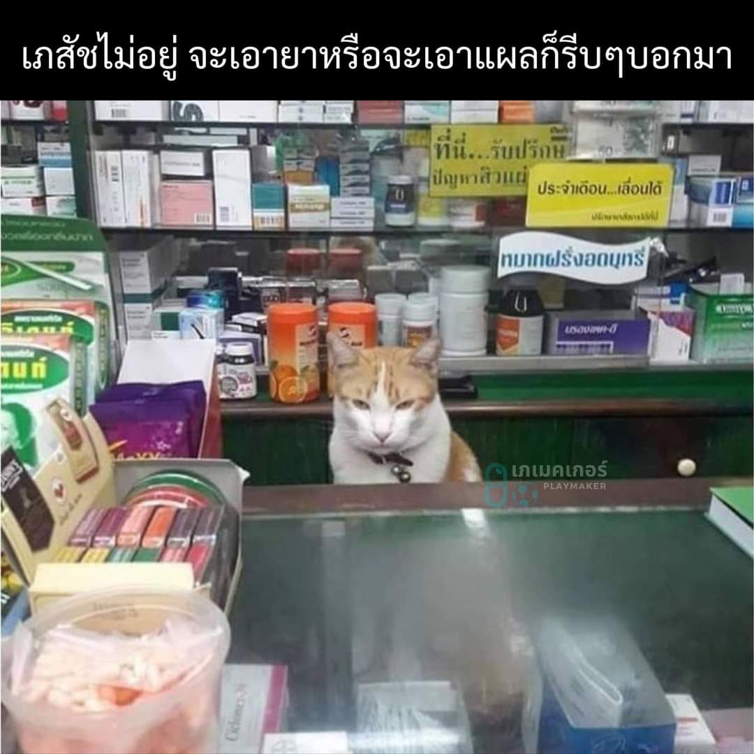 จะเอาไรบอกมา