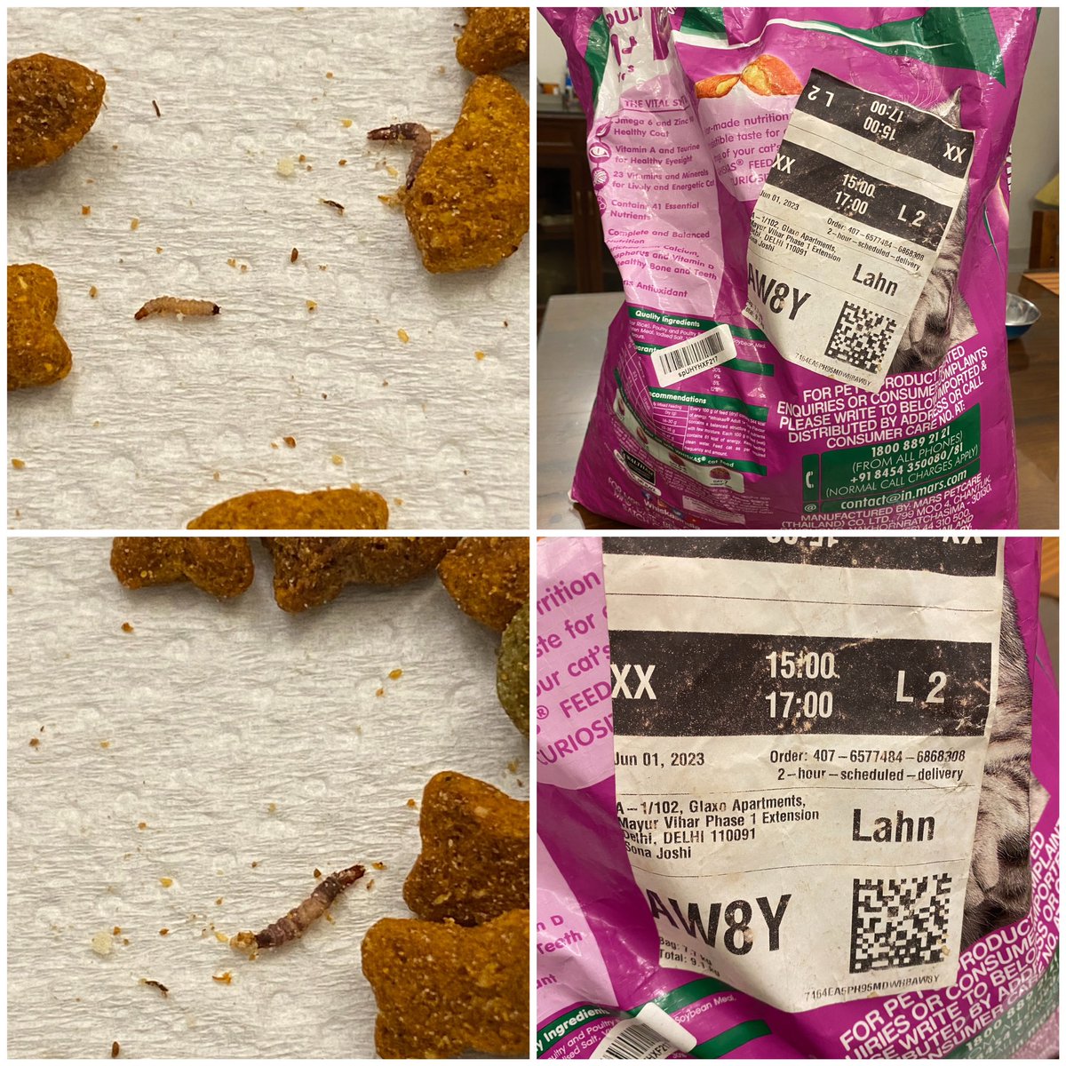joshsona's tweet photo. The whole bag is filled with these larvae, worms and bugs.

It’s a shame how a well known brand can be negligent.
After all it’s food for our beloved pets.

They should recall or ban the brand/product.

@WhiskasIndia @amazonIN @whiskas_uk @WhiskasAU @amazon https://t.co/8RiiDPgZwf