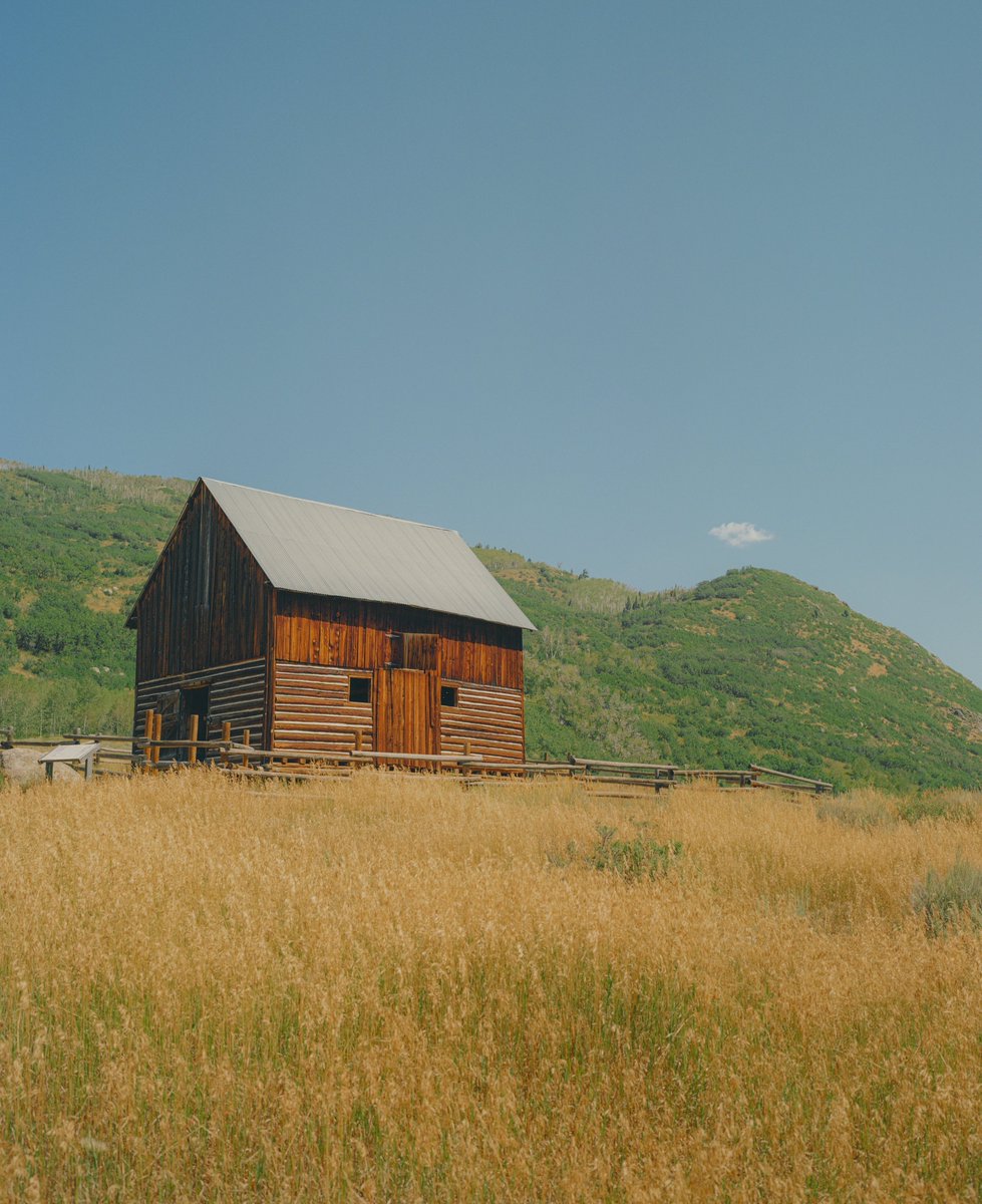 AlexKittoe's tweet photo. Summertime in Colorado https://t.co/xiUa2fdCdx