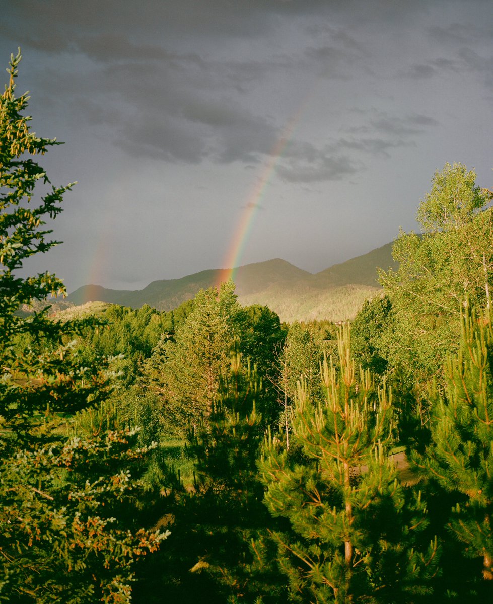 AlexKittoe's tweet photo. Summertime in Colorado https://t.co/xiUa2fdCdx