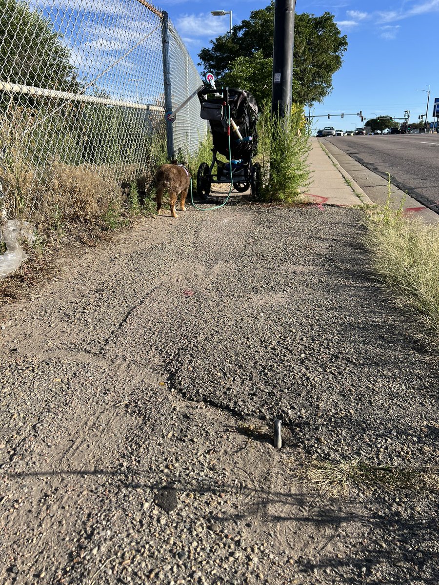 JeanineDeeb's tweet photo. @NewsEnglewoodCO when can you come fix and trim this area of concrete so we can safely walk to school without almost falling in the busy street and getting slapped in the face with bushes? https://t.co/s4fL1RnwVq