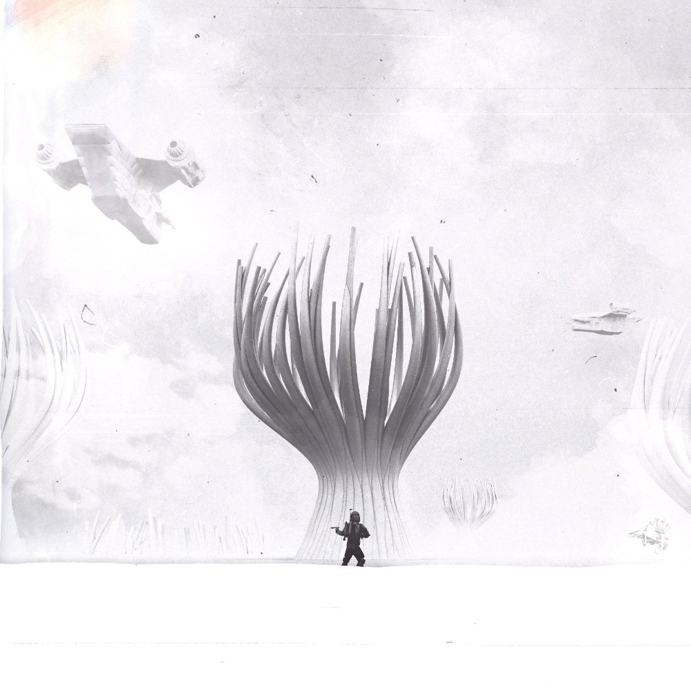 Reza Mohammadi tweet media