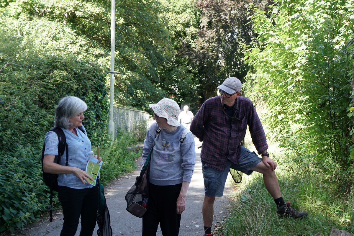 CentreBraunton's tweet photo. We had a great time on our bee walk with Debbie this afternoon! 🐝
If you didn't manage to join us this time, look out for next month's walk!
#connect2nature #bees #wildlifewalk https://t.co/6M8n3udDfS