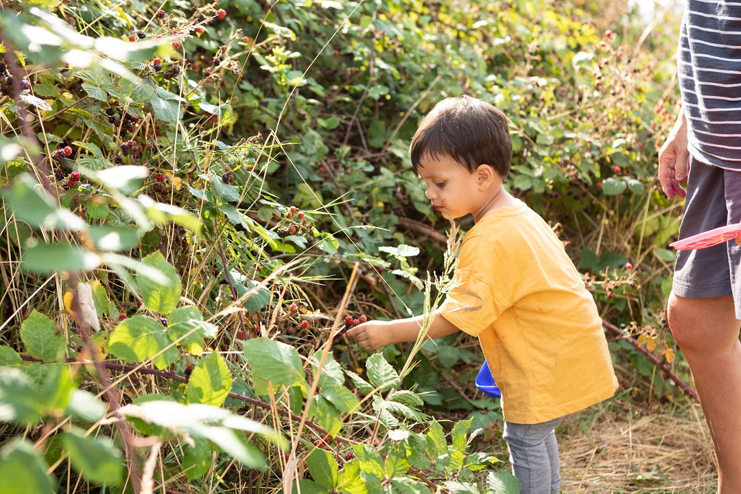 Children's social workers do valuable work that makes a real difference to young people at the most vital stages of their development. The  <a href="/LondonSWC/">London Social Work for Children</a> site lists job vacancies across the capital including #WallthamForest: orlo.uk/RMPwi