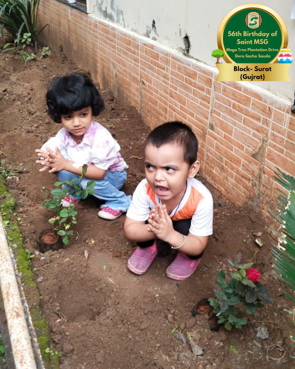 GreenSwelfares's tweet photo. A birthday gift dedicated to the planet, from Dera Sacha Sauda family. Tree Plantation by volunteers from Surat, Gujarat on the occasion of Saint Dr. MSG's Birthday. #56thBirthday #SaintDrMSG #DeraSachaSauda #TreePlantation https://t.co/W8tnVSvpJy