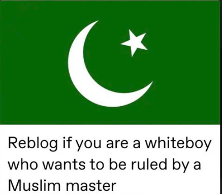 Mat_the_Nigger's tweet photo. https://t.co/pADQnlrfN2