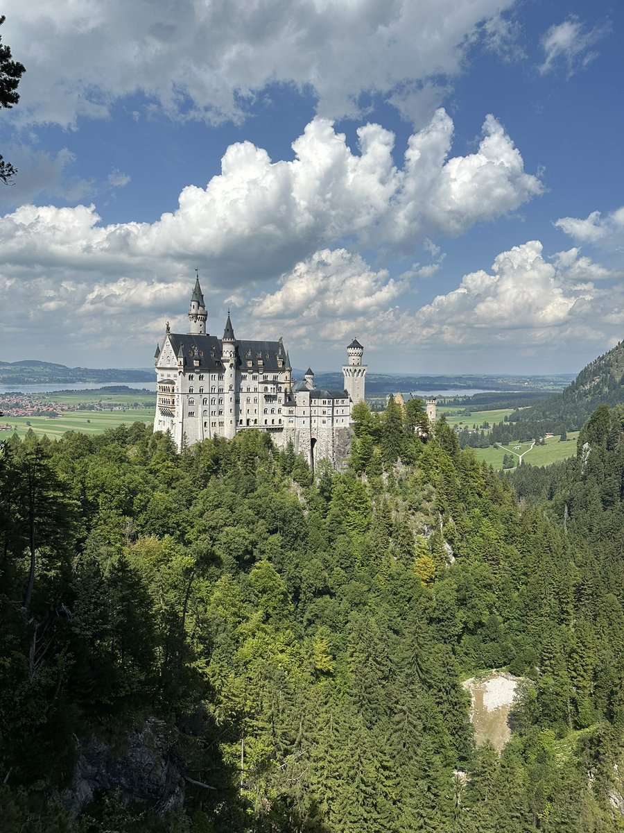 SharonMacleay's tweet photo. #Treecop Lots of trees here at Neuschwanstein Castle, Bavaria β€οΈ https://t.co/YpjFTHjWnQ