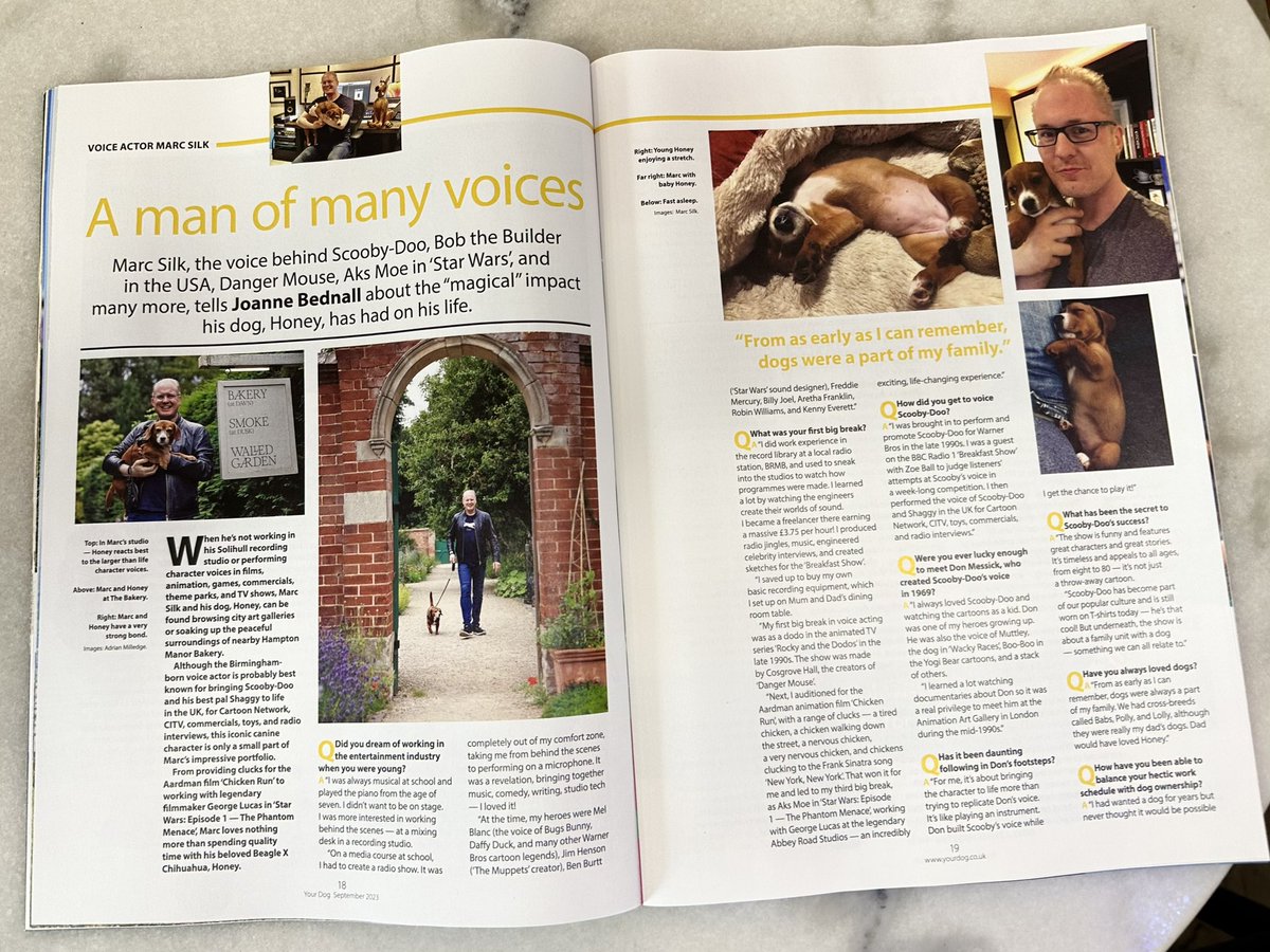 marcsilk's tweet photo. My little girl!! Thanks Your Dog magazine for a lovely feature about Honey. It mentions me too ποΈπππΌ #Cheagle #Beagle #recordingstudio #voiceactor https://t.co/Fv2gPhp6dg