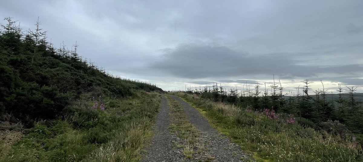 WindyWilson88's tweet image. WEATHER CHECK

Windy says dunno about you guys but I’ve had a grey dull showery morning

Anyway. WHERE are you and what WEATHER do you have ??

#WeatherCheck