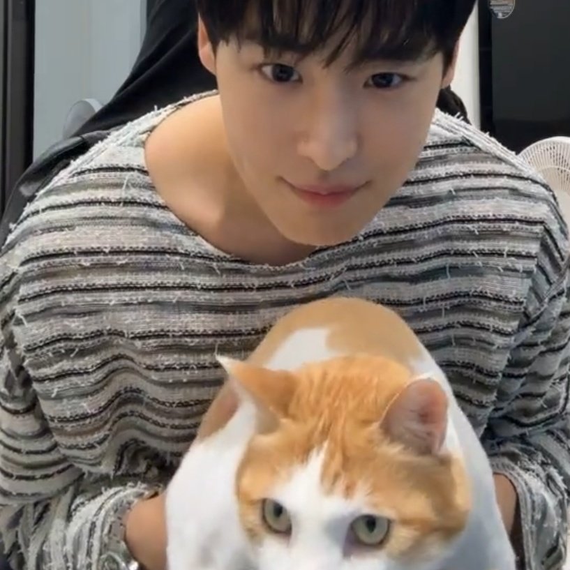 a_ColdBottle's tweet photo. 브리와 병찬이

2019                                         2023 https://t.co/9ZIj9Auh9c