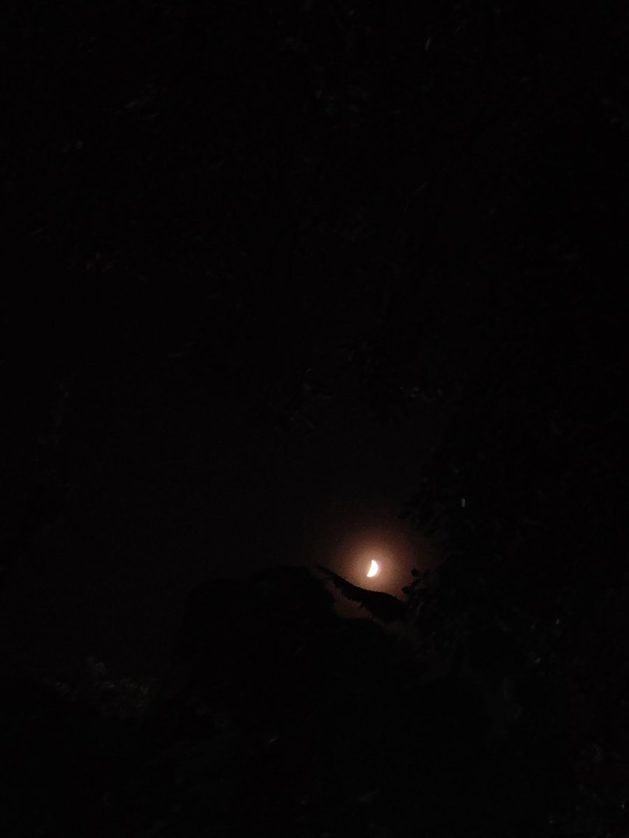udaymodi941's tweet photo. Alas! Machines cannot capture emotions, otherwise this moon would have been clicked in tricolor tonight 🇮🇳🫶🏻! #Chandrayaan3Landing #IndiaOnTheMoon https://t.co/Hf2q7ljkde