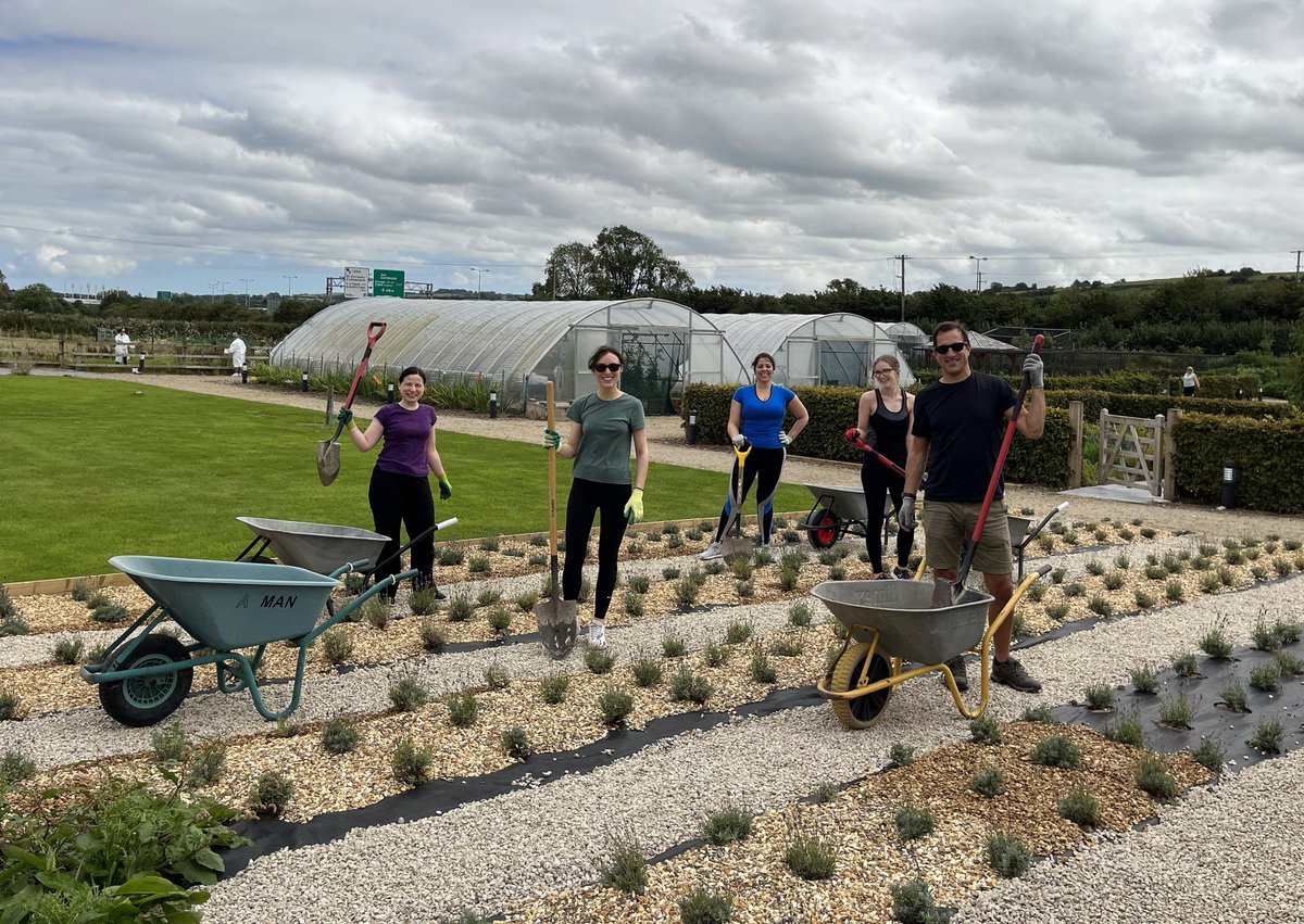 RDJ_LLP's tweet photo. We were proud to team up with @good_2grow as part of their CSR programme to assist with maintaining their impressive horticultural site in Curraheen. 

Thank you to the RDJ volunteers who spent their afternoon painting, weeding, shovelling &amp; wheel-barrowing! #lifeatRDJ #community https://t.co/bsYi5nVGmv