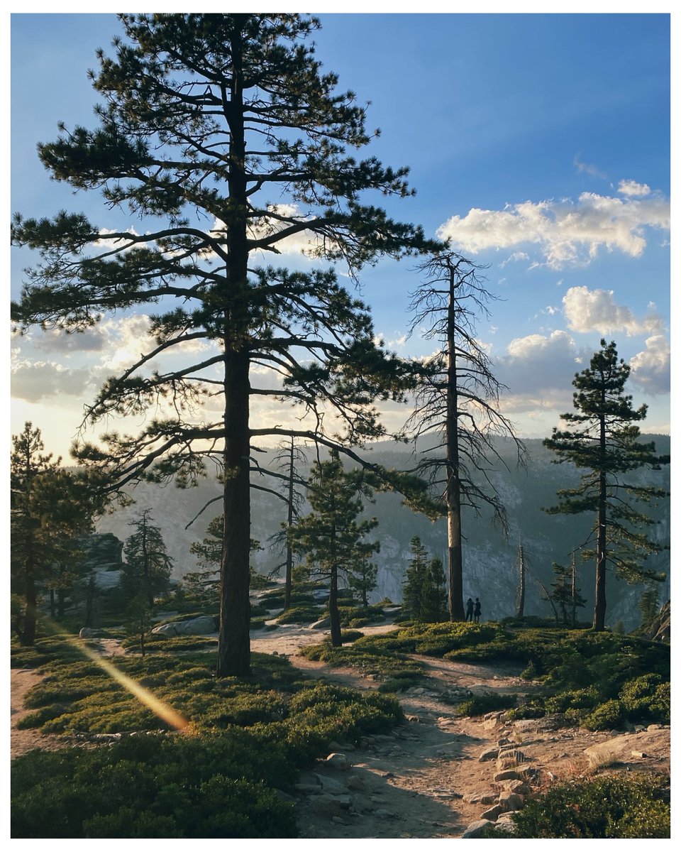 David Perez tweet media