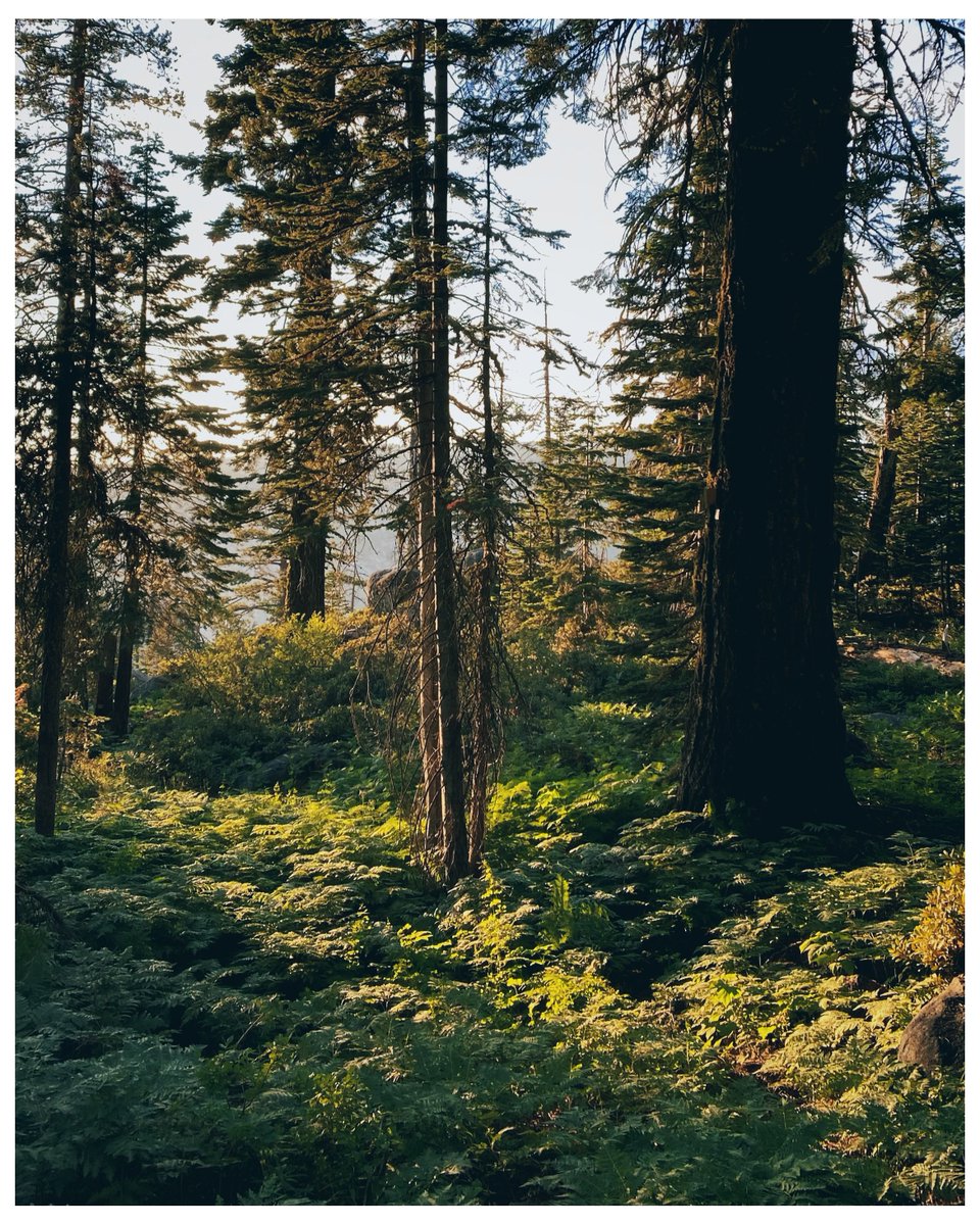 David Perez tweet media