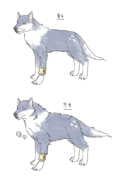 換毛トルガル 