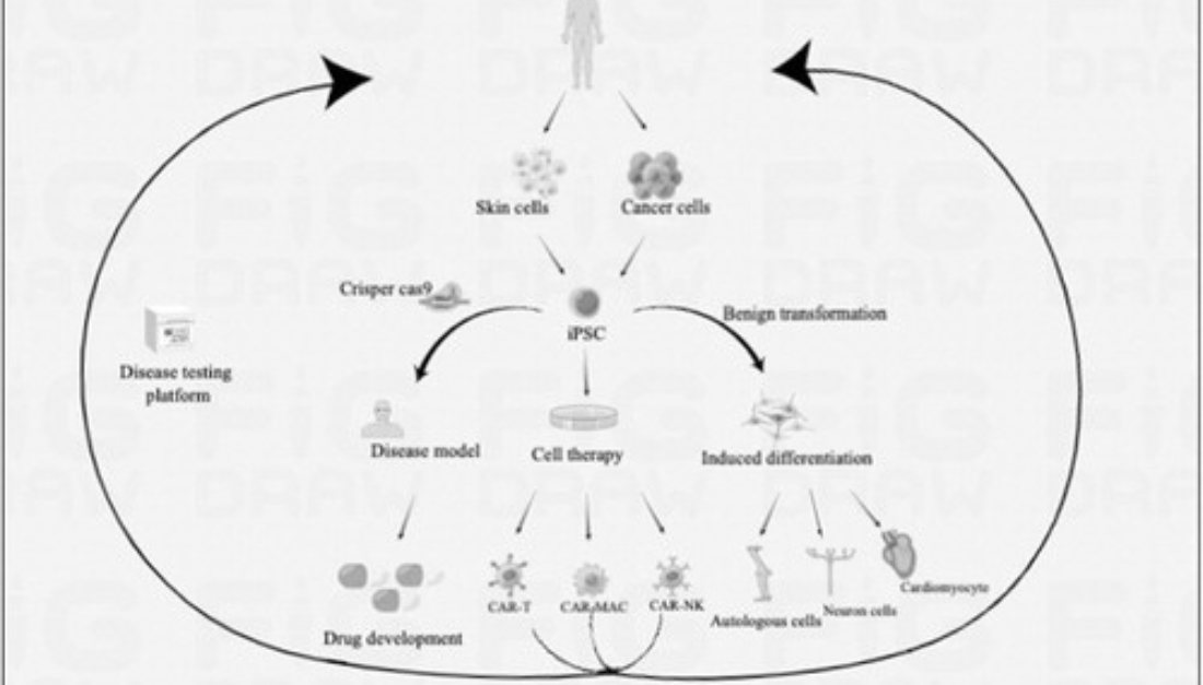 LiebertPub's tweet photo. #CellReprogramming Techniques: Contributions to #CancerTherapy

Researchers discuss recent advances in iPSC cancer models for cancer research, the effects of cancer cell reprogramming on cancer cells,&amp; its potential use in immune cell therapy: https://t.co/dA2YcjMExt @CellRepJrnl https://t.co/YA55mKZLkY