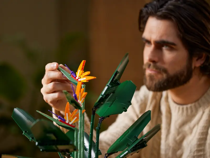 Zebolek's tweet photo. 3 Zestawy LEGO do wygrania, wyslij zdjęcie LEGO które ci sie podoba, napisz ze masz chorom curke a ja wybiore 3 z was do końca tygodnia. 

(Bez limitu, postaram sie wybrać tak zeby +- to co zarobiłem na twitter oddac wam)

Retweet mozecie dac, ale to nie wymagane, serce tez https://t.co/F3yYHXafm7