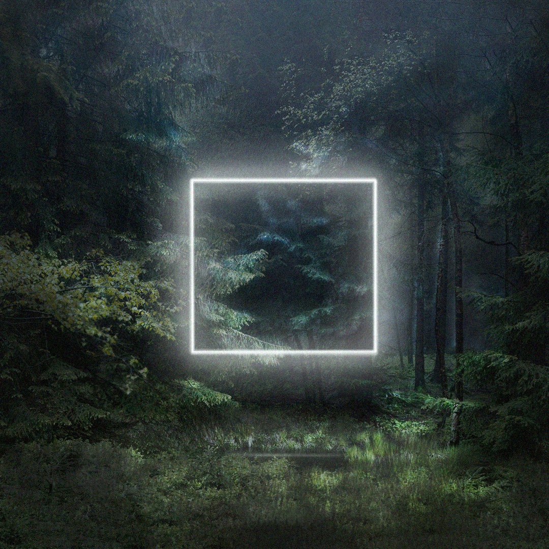 Reza Mohammadi tweet media