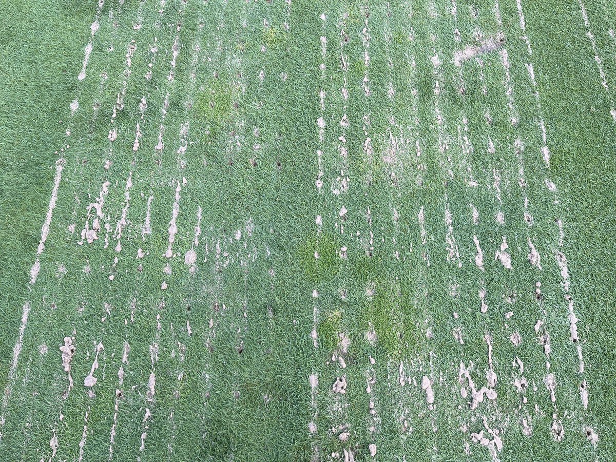 MaxwellTurf's tweet photo. Tis the season #topchanger #wetject #wetsand changing soil profiles one area of turf at a time @STECEquip #plandomecc https://t.co/qQ3p4SfsOR
