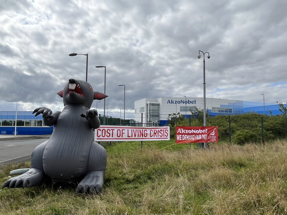 Uniteanation's tweet photo. @AkzoNobel @AkzoNobelUK @AkzoNobelNL @AkzoNobel_PC @AkzoNobel_AACNA @AkzoNobel_PC @IP_Marine @KateOsborneMP @IanMearnsMP @bbcnewcastle @FireChimp2039 Scabby the Rat was out today - this time in Ashington - This is Akzo Nobel site in Ashington - Newsletters &amp; Conversations 👇👇👇 https://t.co/RH82RJs8Ly