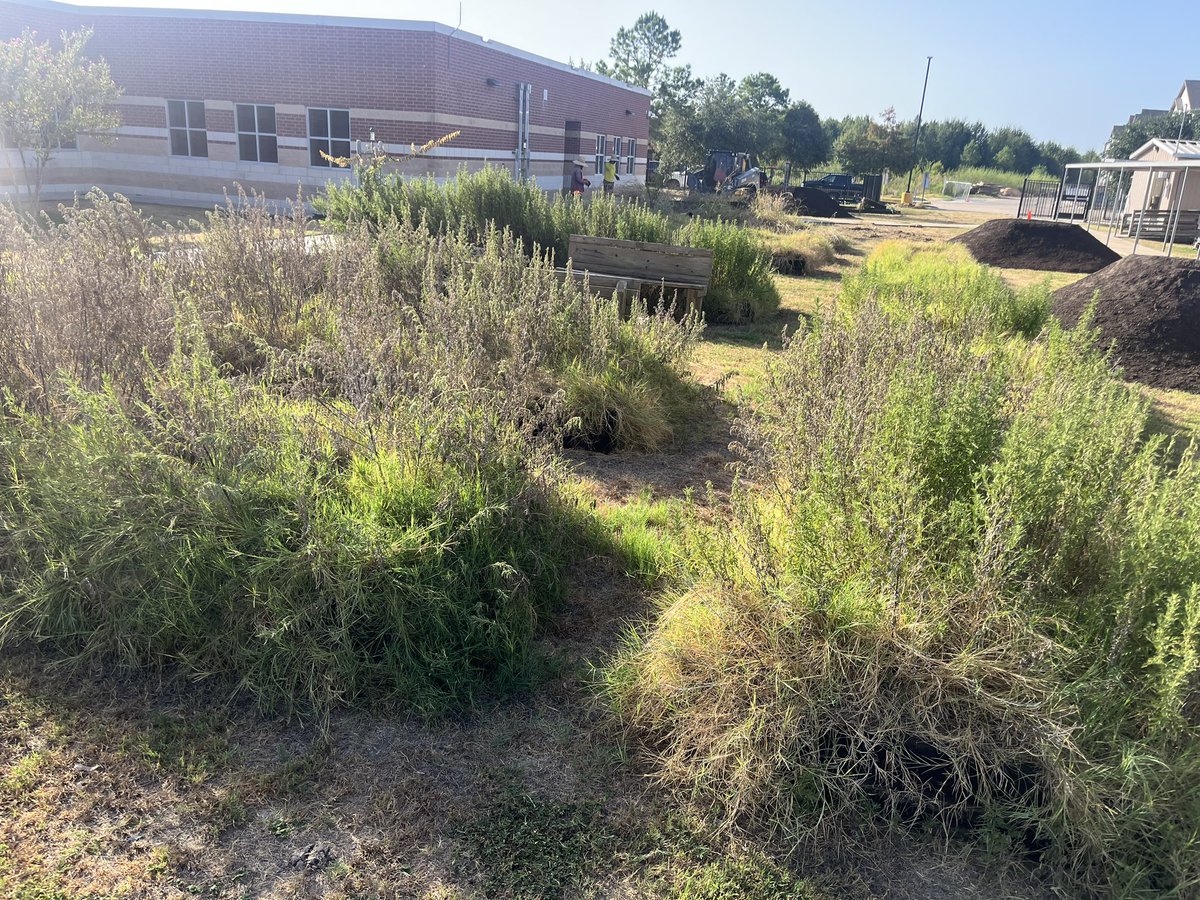 We are SO excited to be managing a BIG school renovation today @AndreElemPTO 💚 Amazing outdoor classroom & beautiful garden coming soon for students to explore, grow healthy organic food, and learn science TEKS in! 💚🌻🥕🍓🦋🐝 @CFISDScience @CyFairISD @PowerUpCafe @mrsnewcfisd