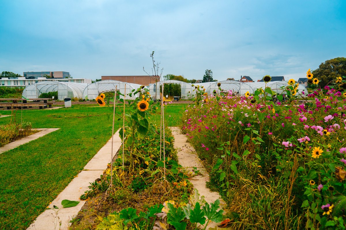 FoodSHIFT2030's tweet photo. NEW! Check out the latest blogpost by our #FoodSHIFT2030 Labs:
🌳Ostend: an innovative park, the Gardens of Stene
🍽️Avignon: on children's food education
👉 https://t.co/dlZPwRzasN
👉 https://t.co/r0zvMt2wa5
#H2020 https://t.co/81J49ptbP3
