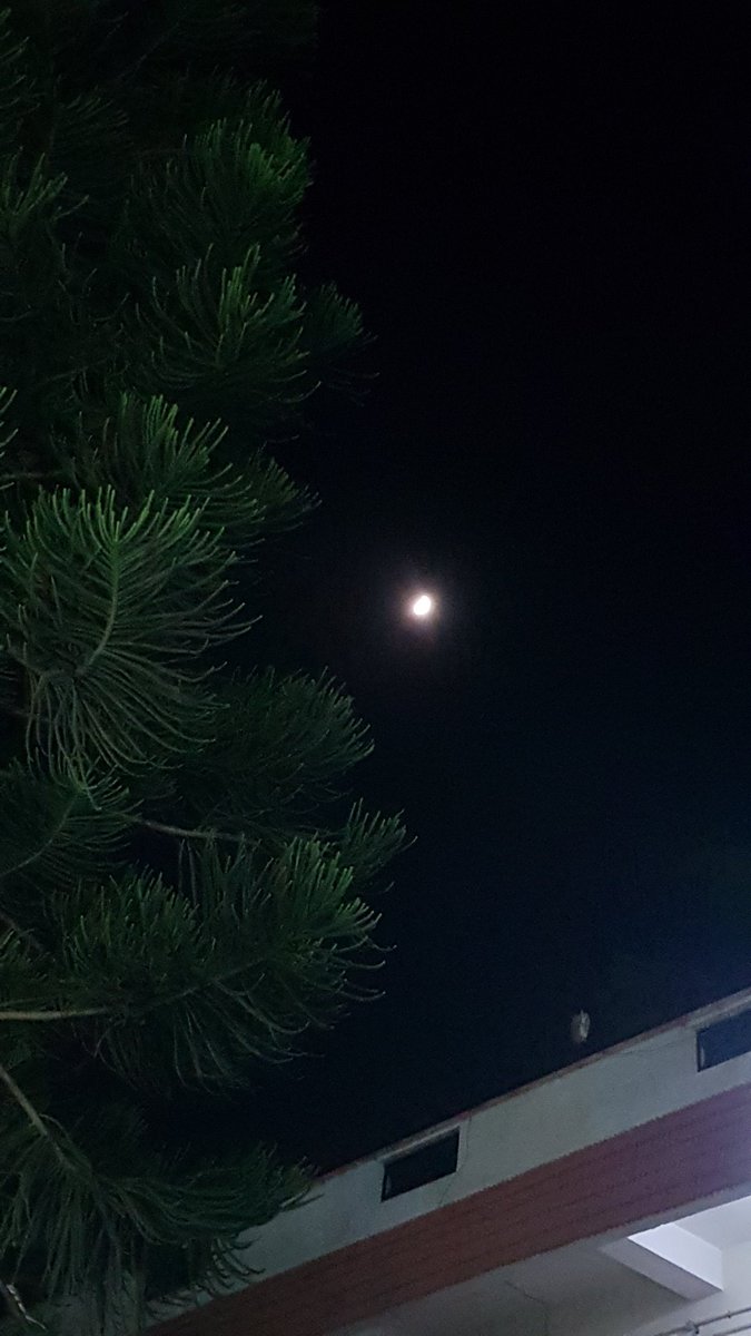 ashishkhot123's tweet photo. Go out and see the moon 🌛 you will have different vibes today. 🇮🇳
#Chandrayan3 #success #India #23Aug2023 https://t.co/l3Jczqk3Co