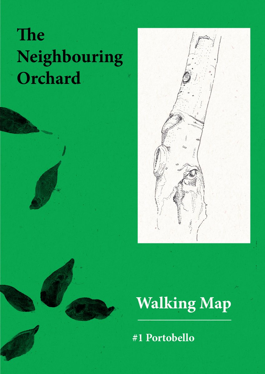 We received printed copies today of our newly produced Walking Maps as part of our ongoing project The Neighbouring Orchard. 🗺️ The maps conceived by artist Annie Lord, and designed by artist David Lemm Book at: artwalkporty.co.uk #treewalks #neighbouringorchard #ecology