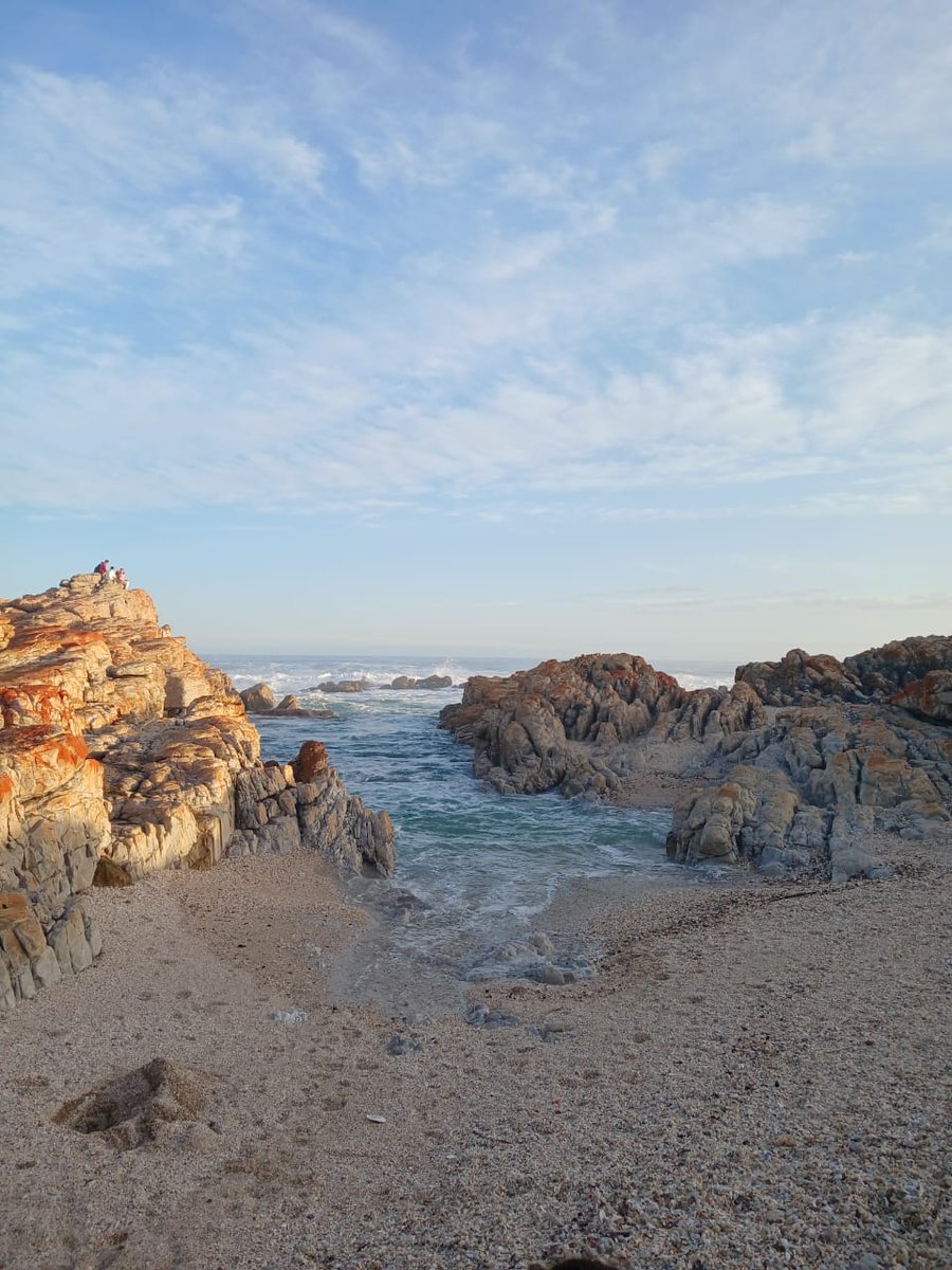 CarbonKiss's tweet image. Thank you to all #Litterpickers #Environmentalists 🌎 compassionate souls out there 💚