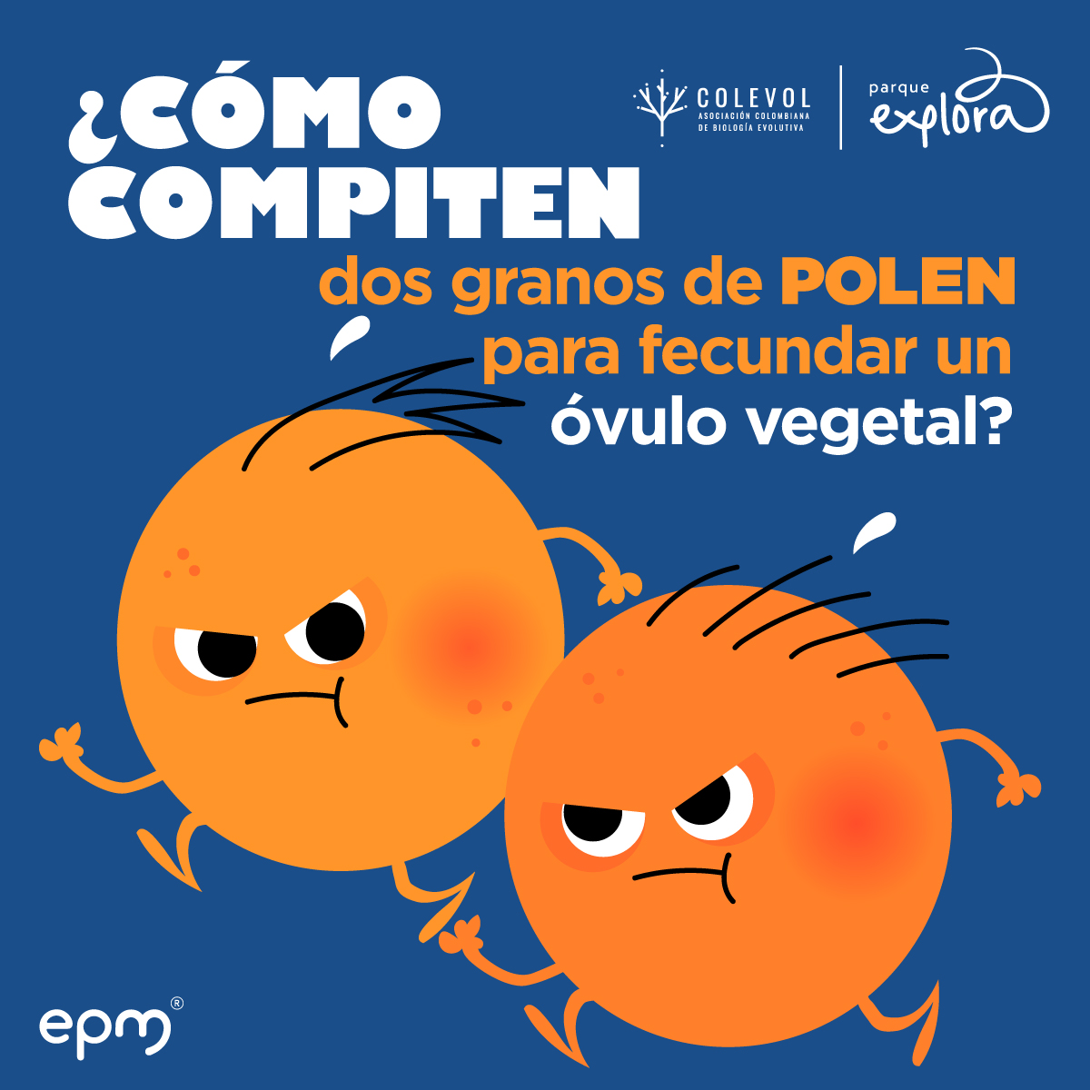 ¿Cómo compiten dos granos de polen por un óvulo? ¿Por qué dos plantas de la misma especie pueden tener flores diferentes? 👇