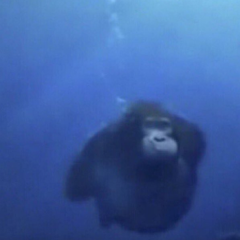 wukong: ''nami no r''