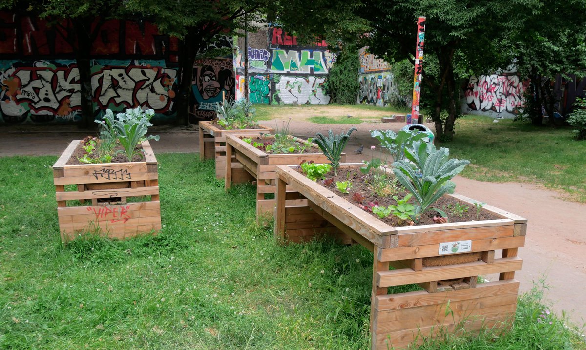 freewalkingac's tweet photo. Hier kann man sehen, dass #urban #gardening funktioniert: An zwei Stellen mitten in der Stadt befinden sich Beete, an denen es was zu pflanzen und zu ernten gibt. https://t.co/gmhHW0Kzo7