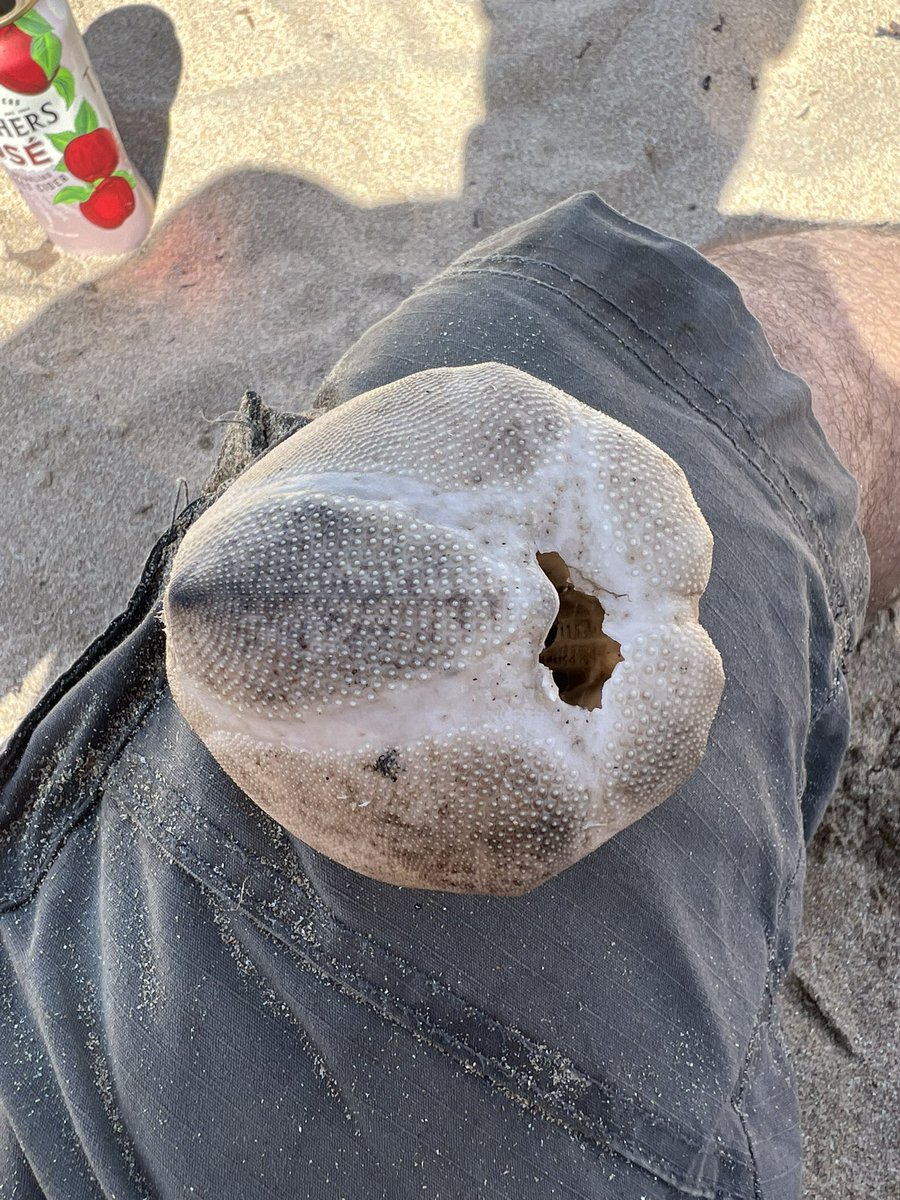 Matt Chatfield tweet media