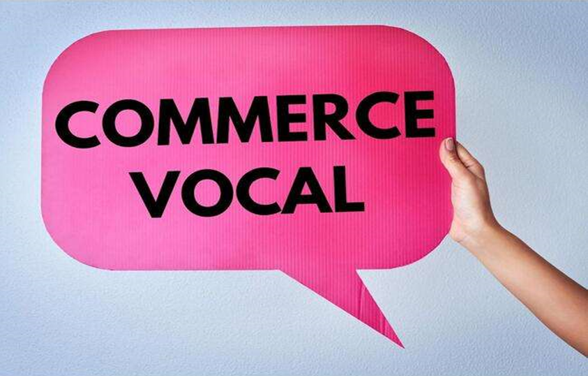 Actu Marketing: Maîtriser le Voice Commerce : stratégies de marketing digital pour le succès du commerce vocal dlvr.it/Sv42yw