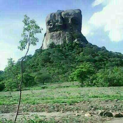 VaRapisa's tweet image. In Rushinga sabhuku nemunhu wako taivharisa in all areas kwazvanga zvichiitika guys musatya vanhu veFAZ confront them chase them away from our polling stations musasekerere tsvina ndozvatiri kuitawo kwedu hameno kwenyu