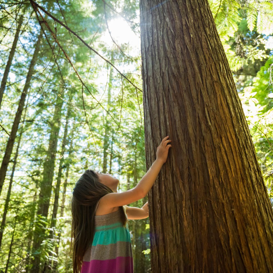 Need a dose of nature to decompress and recharge this weekend? Hoyt Arboretum is hosting its Family Forest Day this Saturday, August 26! Nature educators and community partners will lead activity stations for the whole family from 11 a.m. to 2 p.m. bit.ly/3E8UfJX