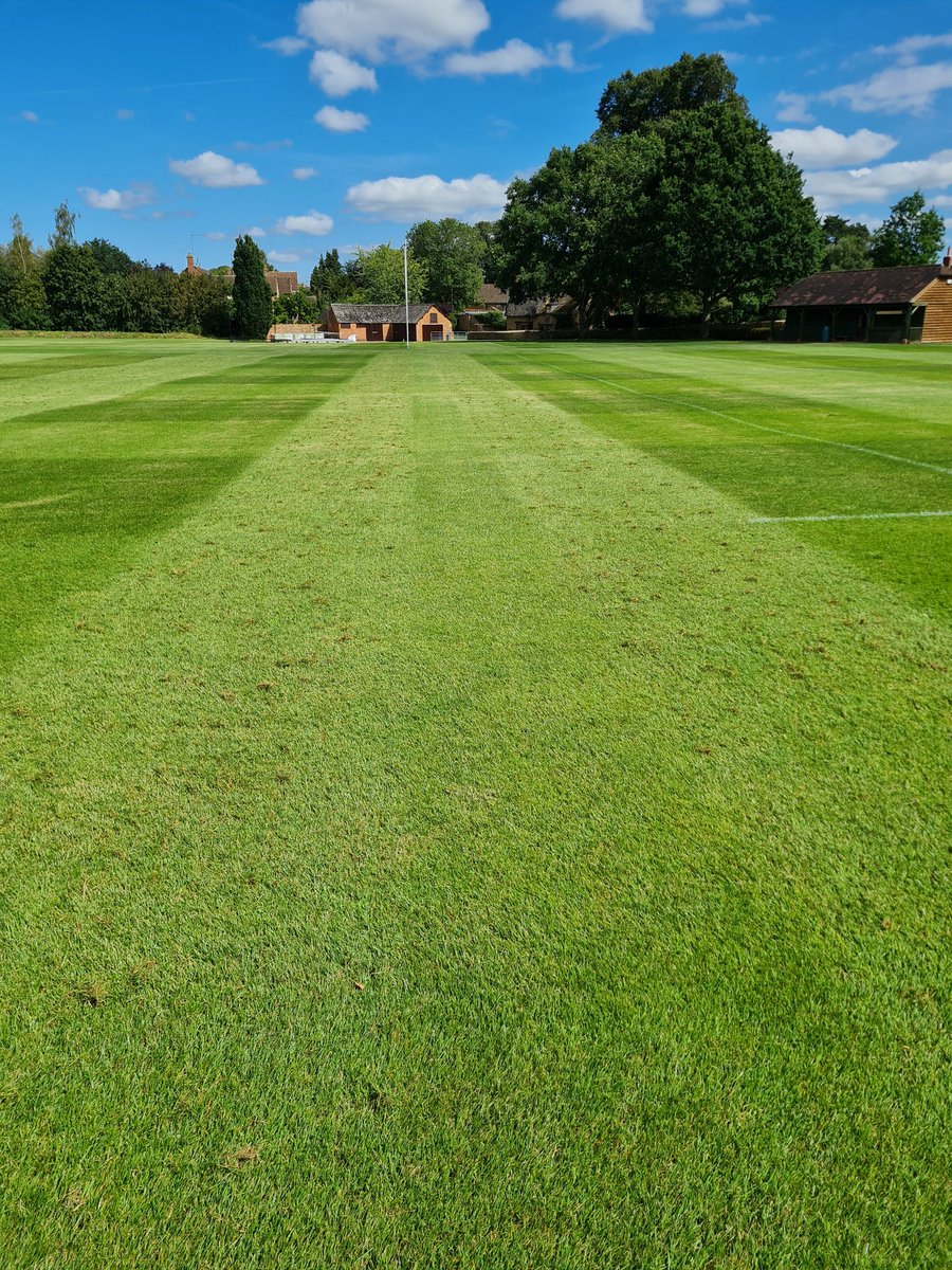 BloxhamGrounds's tweet photo. Got the @SISISMachinery Quadraplay on first team pitch today. We got the tines down scratching all the dead rubbish out. It's surprising how much it brings out. With a great end result, #TeamSisis #GroundskeepersLife #RugbySeason https://t.co/uuoImGX9mZ