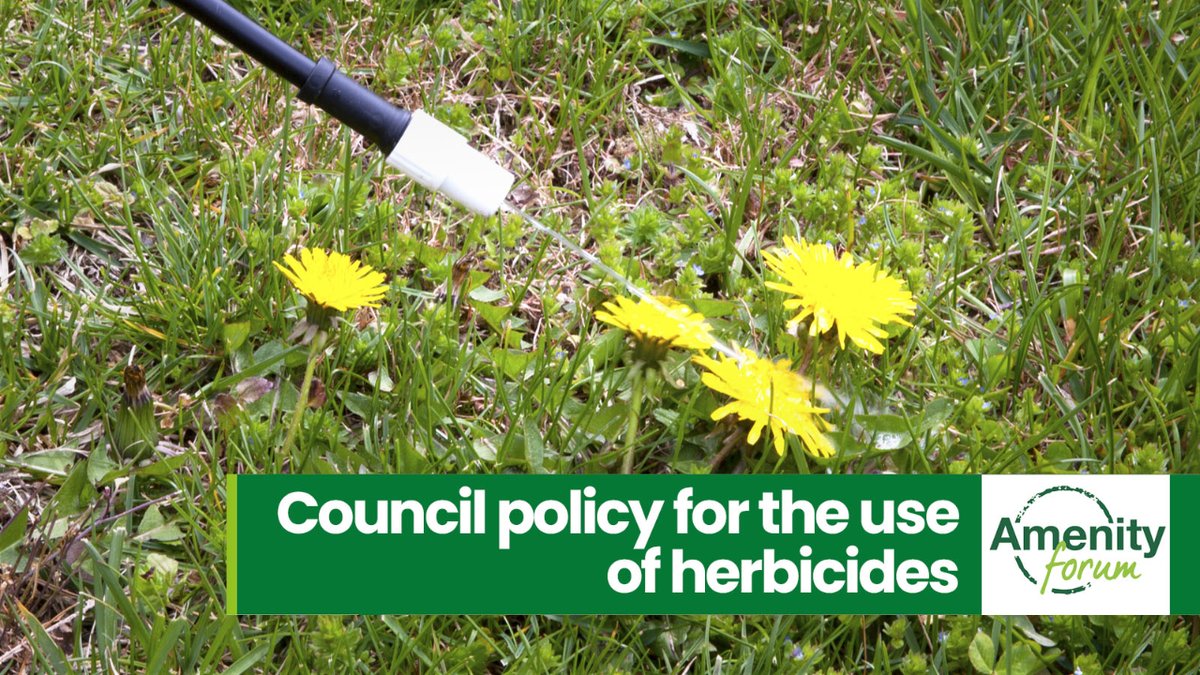 Amenity Forum tweet media