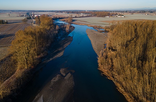 'We see this as part of the larger issue of clean, sustainable, and certain water for the future of our farms.'

#whatcomfarmers #whatcomcounty #pnwlife #bcenviro #abbotsford #fishneedfarms

➡️ cascadiadaily.com/news/2023/aug/…