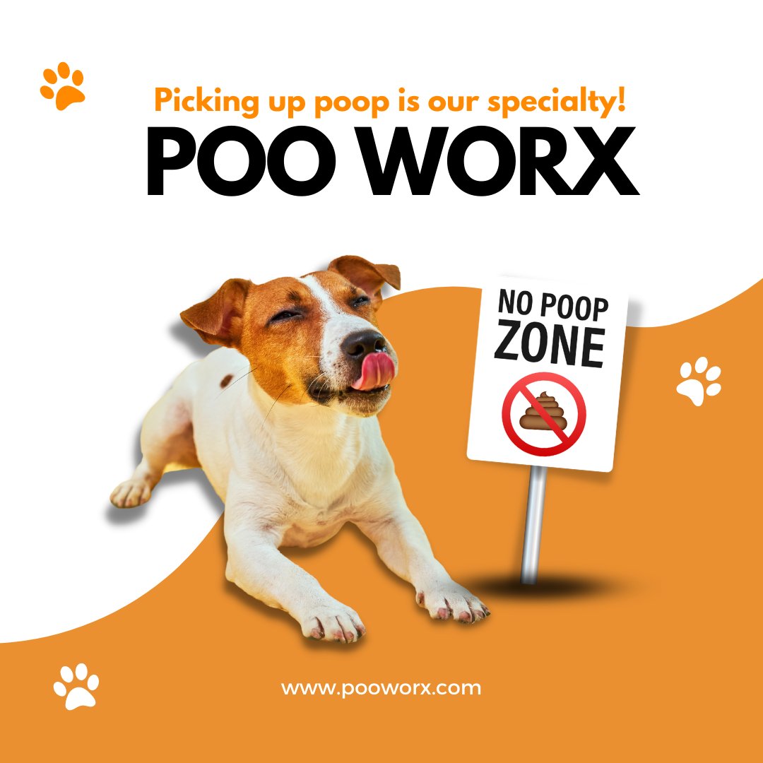 Who said picking up pet waste had to be a chore? 🤔 🐶 Don't dread piles of poo - Call/Text: 250-826-8028 to get started! 

#petwasteremoval #petwaste #dogwaste #dogpooppickup #ScoopThePoop #PuppyLove #DogLovers #InstaDogs #DogLife #Doggo #furbaby #okanagan #canadadog