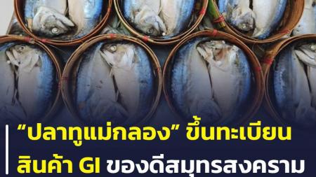 NewsNetworkss's tweet photo. https://t.co/b0syQBXLV6
 กรมทรัพย์สินทางปัญญา ขึ้นทะเบียน “ปลาทูแม่กลอง” ของดีสมุทรสงคราม
กรมทรัพย์สินทางปัญญา ประกาศขึ้นทะเบียนสินค้า GI “ปลาทูแม่กลอง” 
ของดีจังหวัดสมุทรสงคราม https://t.co/S9TtdptEfu