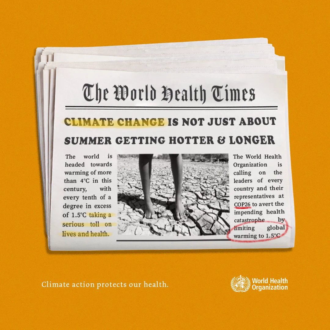 World Health Organization (WHO) tweet media
