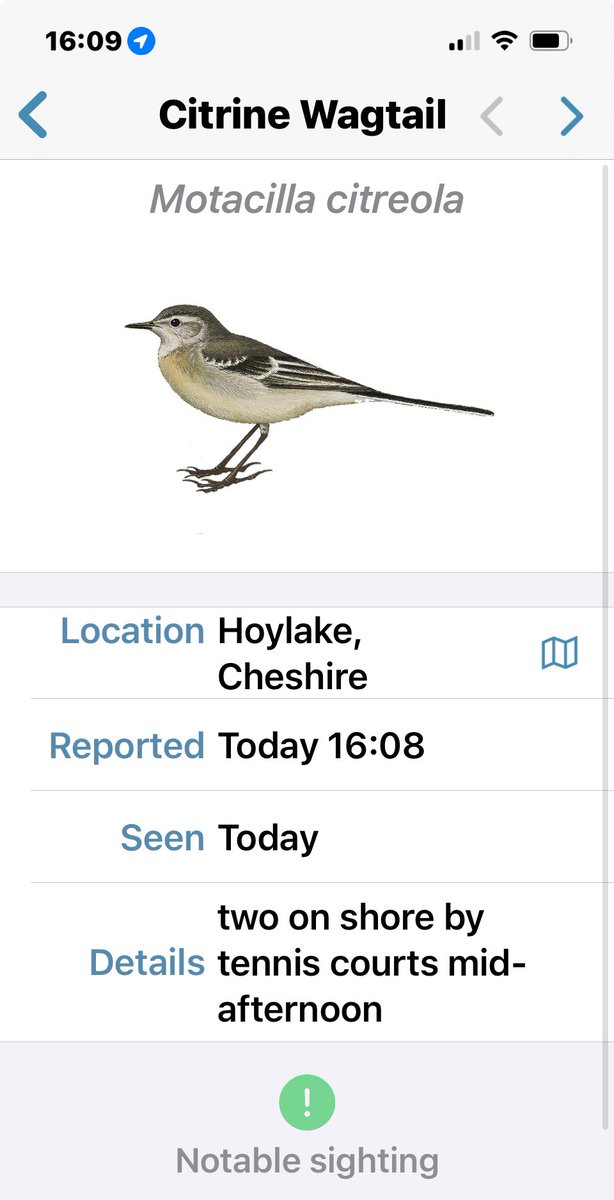 C & W BIRD NEWS (@cheshirebirding) on Twitter photo 