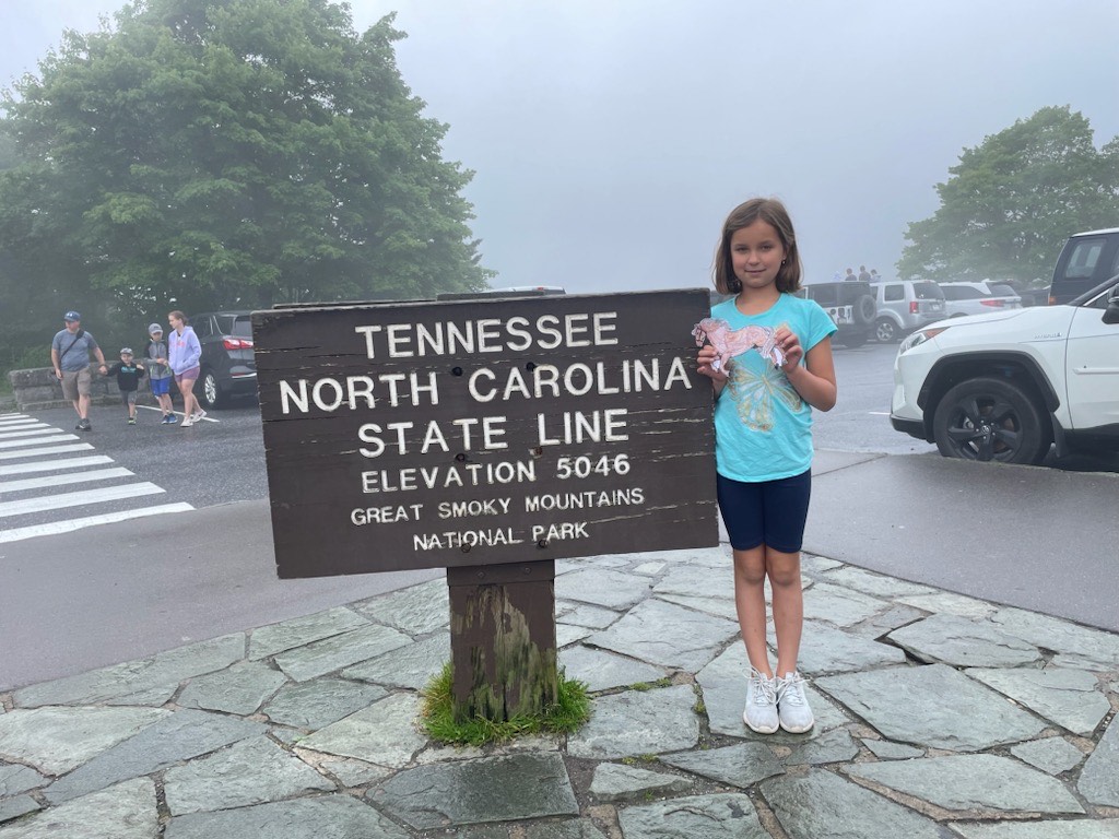 Flat Mustang tweet media