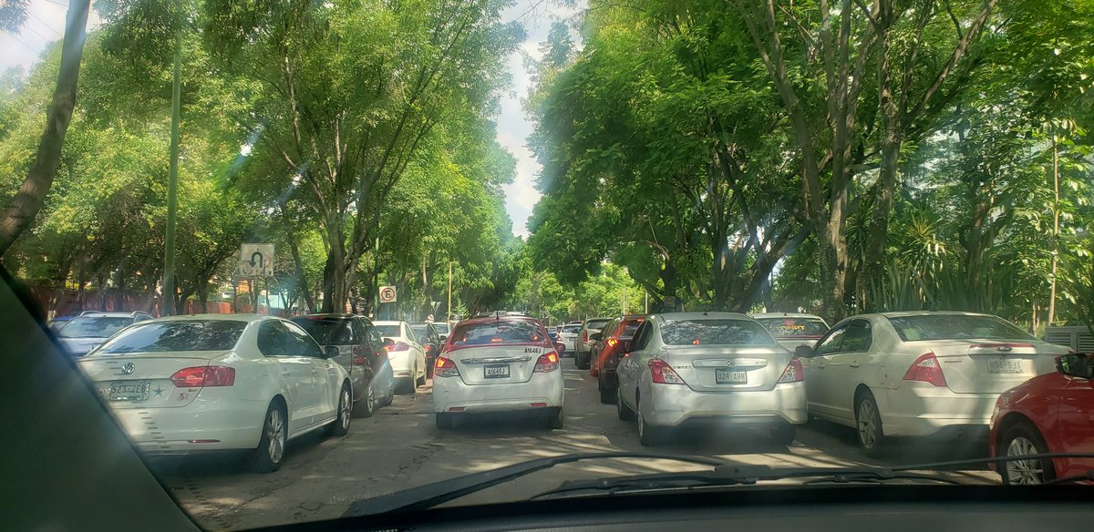 Roman Sanchez tweet media