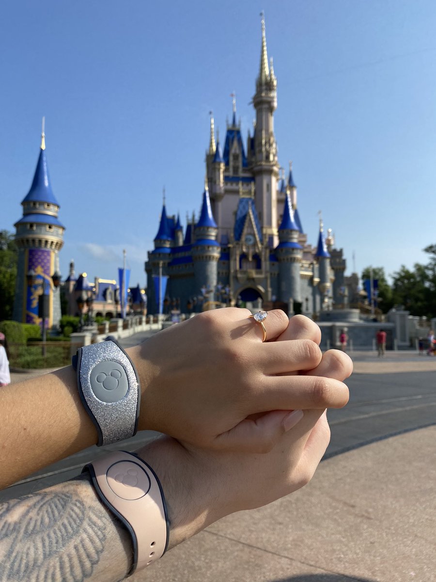 Chøf 🐻‍❄️ tweet media