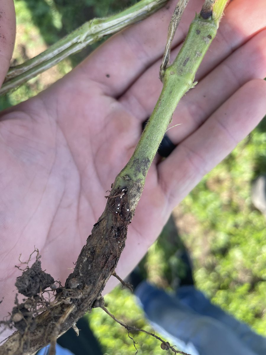 Jacob Foley tweet media